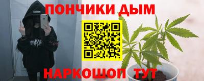 шишки Будённовск