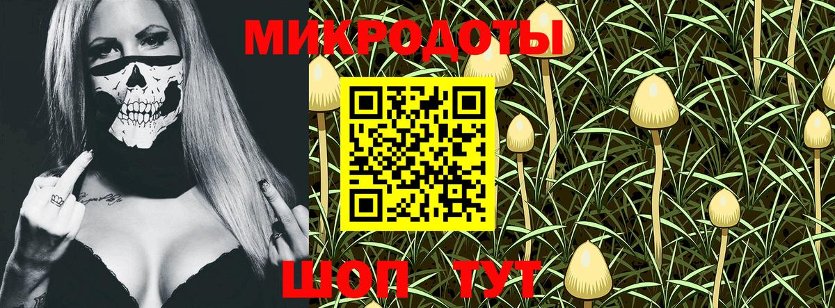 купить наркотики сайты  Псилоцибиновые грибы прущие грибы  Вход с VPN  Чебоксары  Псилоцибиновые грибы Psilocybe 
