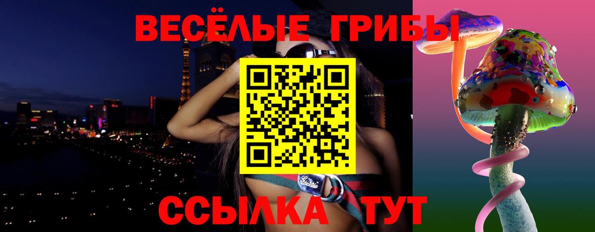 Псилоцибиновые грибы Cubensis Чебоксары
